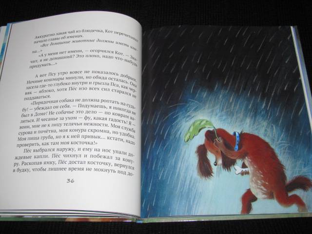 Иллюстрация 56 из 72 для Дождь. Маленькая повесть - Людмила Дунаева | Лабиринт - книги. Источник: Nemertona