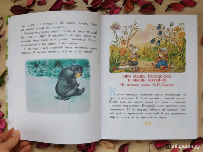 Иллюстрация 18 из 31 для Сказки со всего света | Лабиринт - книги. Источник: Федулова  Анна Алексеевна