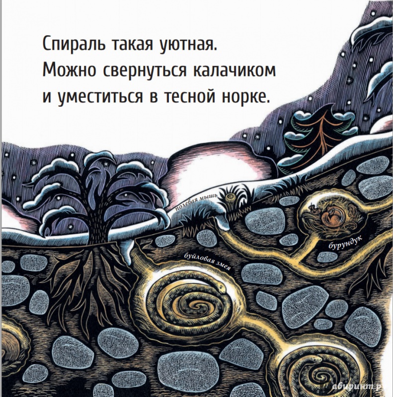 Иллюстрация 11 из 65 для Живые спирали - Джойс Сидман | Лабиринт - книги. Источник: Лукина  Мария