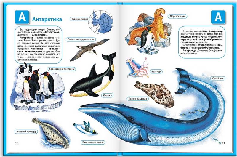Иллюстрация 17 из 30 для Океаны и моря | Лабиринт - книги. Источник: nadin_tyum
