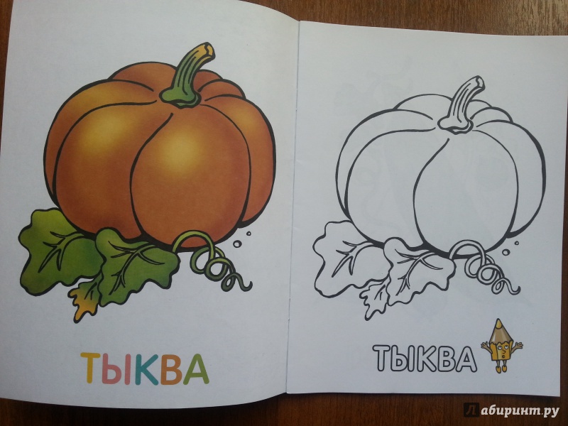 Иллюстрация 13 из 18 для Раскраска для малышей. Овощи | Лабиринт - книги. Источник: Баскова  Юлия Сергеевна