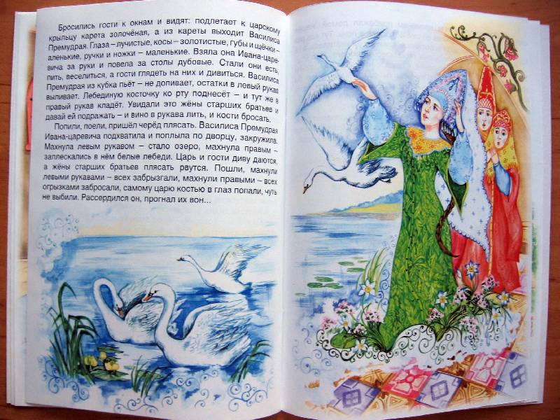 Иллюстрация 10 из 41 для Царевна-лягушка | Лабиринт - книги. Источник: Red cat ;)