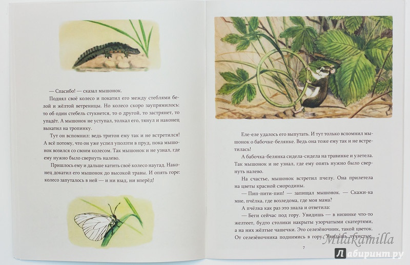 Иллюстрация 33 из 41 для Мышонок заблудился - Нина Павлова | Лабиринт - книги. Источник: Букландия