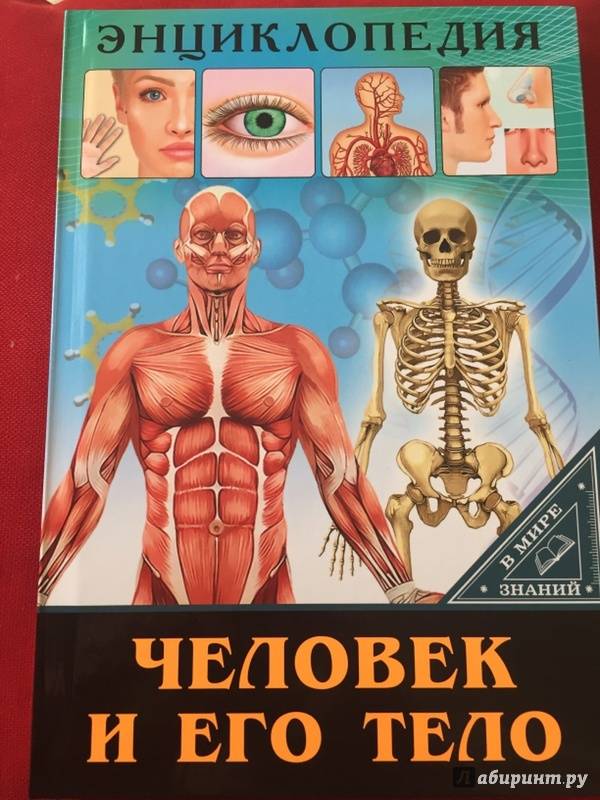 Иллюстрация 21 из 24 для Человек и его тело - Оксана Балуева | Лабиринт - книги. Источник: Cветлана Aзивская