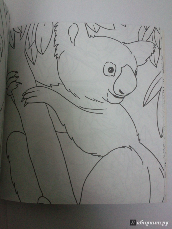 Иллюстрация 19 из 25 для Удивительные животные. Раскраска-антистресс для творчества и вдохновения | Лабиринт - книги. Источник: Черная  Ксения
