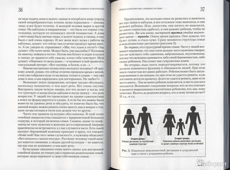 Иллюстрация 3 из 14 для Введение в системную семейную психотерапию - Анна Варга | Лабиринт - книги. Источник: Мила