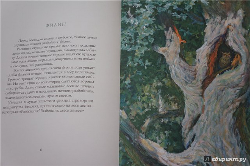 Иллюстрация 7 из 14 для Лето в лесу - Иван Соколов-Микитов | Лабиринт - книги. Источник: Екатерина  Екатерина
