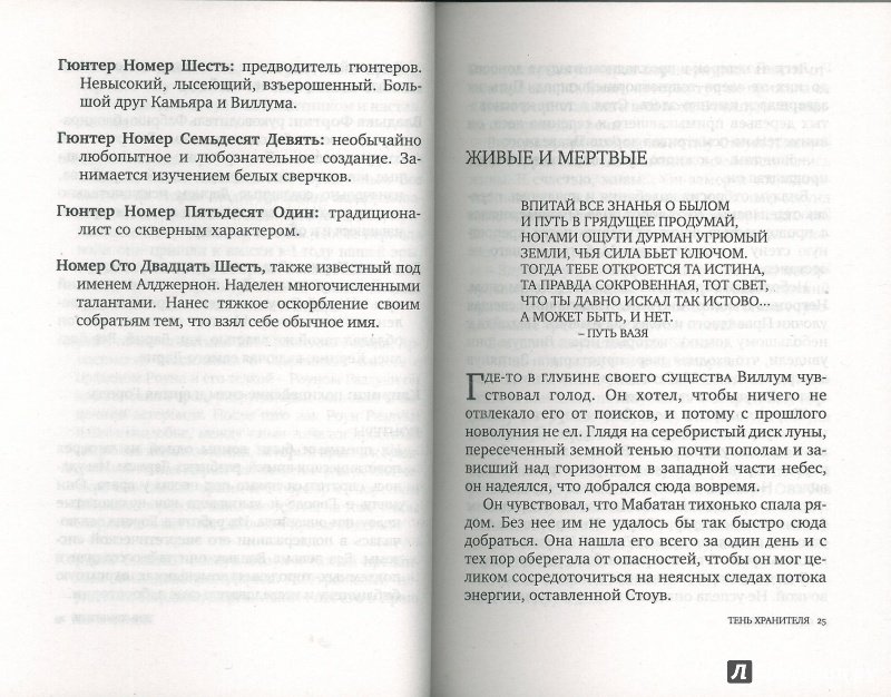 Иллюстрация 28 из 42 для Тень хранителя. Книга 3. Трилогия - Дэннис Фун | Лабиринт - книги. Источник: Don Serjio