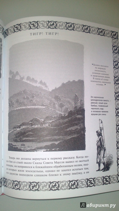 Иллюстрация 15 из 27 для Книга джунглей - Редьярд Киплинг | Лабиринт - книги. Источник: bamboo