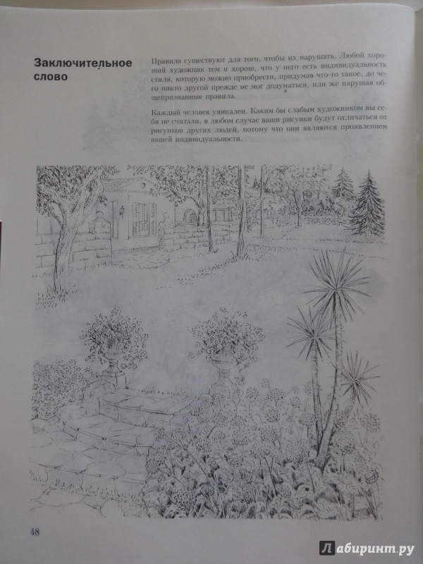 Иллюстрация 38 из 46 для Учитесь рисовать ваш сад - Кэрол Винсер | Лабиринт - книги. Источник: Саломасов  Даниил