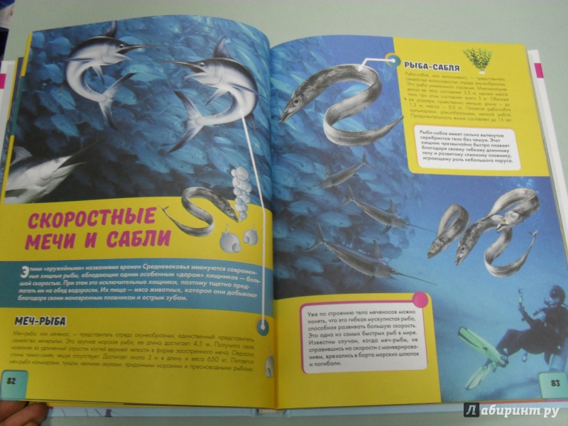 Иллюстрация 21 из 26 для Подводный мир - Ликсо, Ригарович | Лабиринт - книги. Источник: Татаркина  Наталья