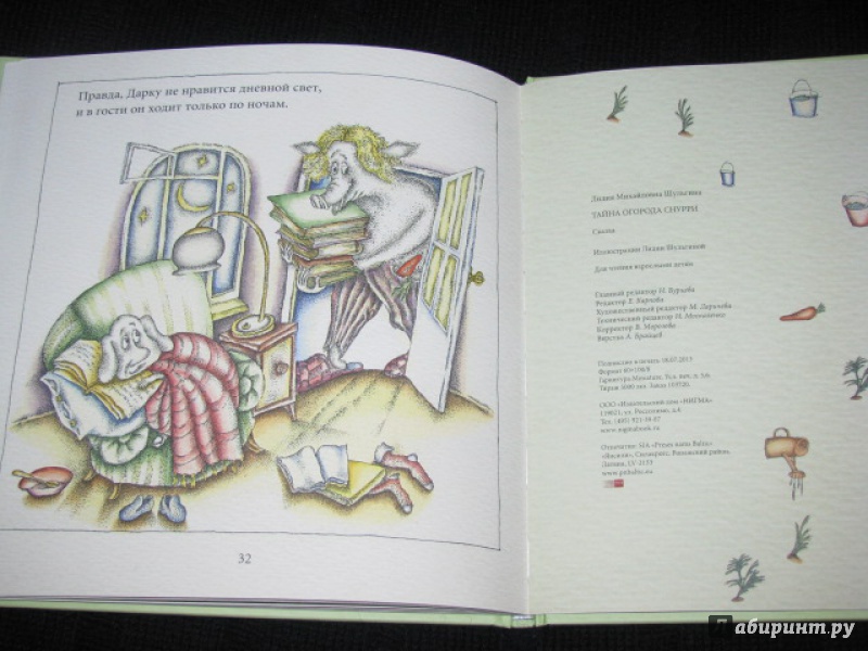 Иллюстрация 46 из 60 для Тайна огорода Снурри - Лидия Шульгина | Лабиринт - книги. Источник: Nemertona