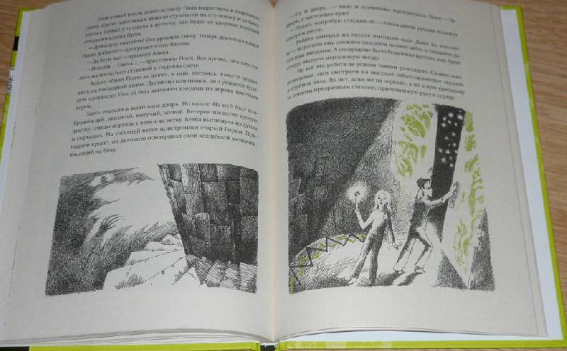 Иллюстрация 23 из 50 для Тайна железного дерева - Софья Прокофьева | Лабиринт - книги. Источник: Pam