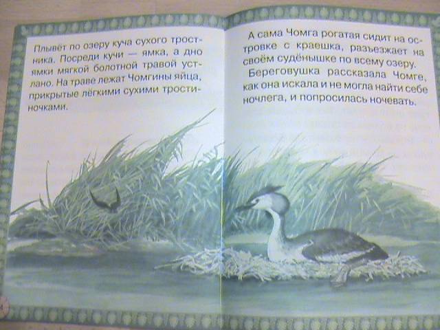 Иллюстрация 27 из 27 для Лесные домишки - Виталий Бианки | Лабиринт - книги. Источник: Ната Ф.