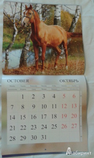 Иллюстрация 9 из 9 для Календарь 2013 "Лошади" | Лабиринт - сувениры. Источник: Anita1