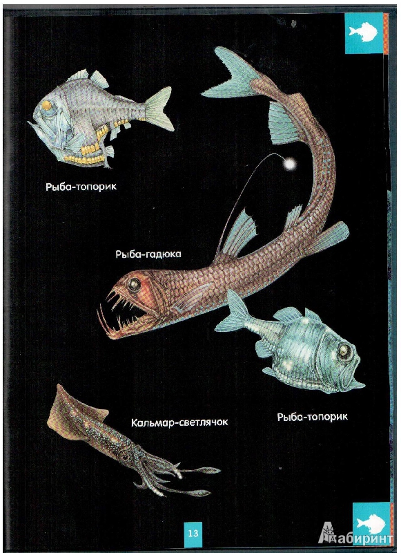Иллюстрация 8 из 24 для Светящаяся книга о подводном мире - Николас Харрис | Лабиринт - книги. Источник: gabi
