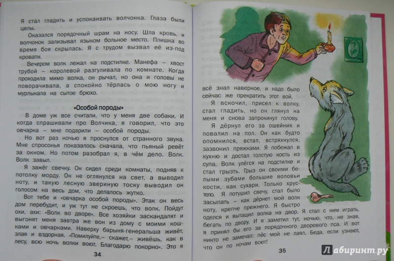 Иллюстрация 20 из 22 для Рассказы о животных - Борис Житков | Лабиринт - книги. Источник: Марина