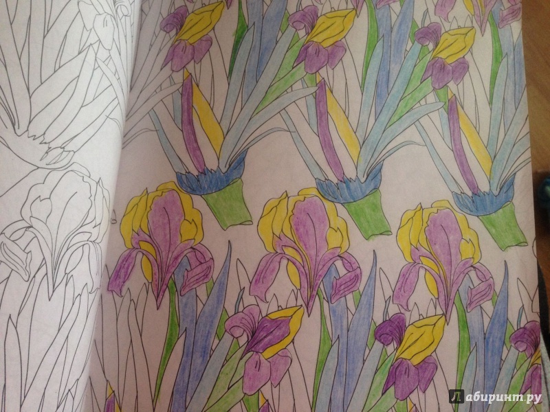 Иллюстрация 11 из 22 для Дивный сад. Раскраска-антистресс | Лабиринт - книги. Источник: Астахова  Елена