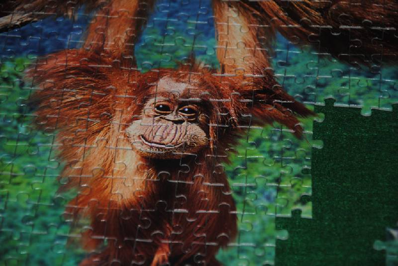 Иллюстрация 4 из 5 для Пазл-мозаика "Игры обезьян" 500 деталей (B-51601) | Лабиринт - игрушки. Источник: CatT