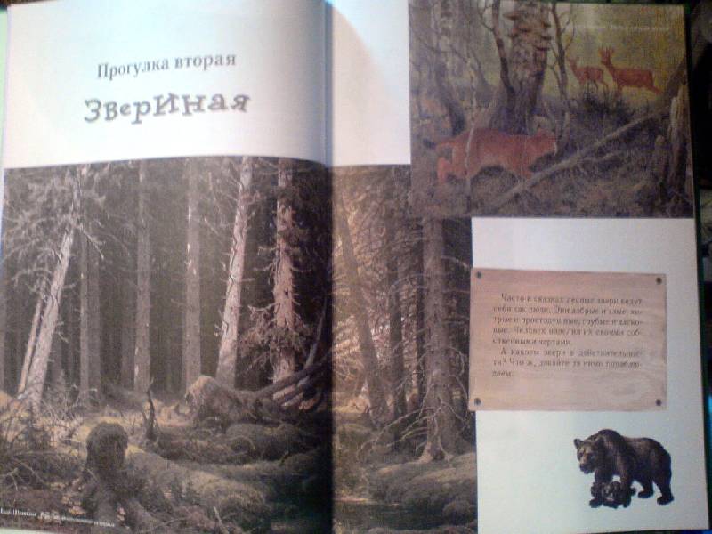 Иллюстрация 92 из 94 для Прогулки по лесу - Сергей Махотин | Лабиринт - книги. Источник: Спанч Боб
