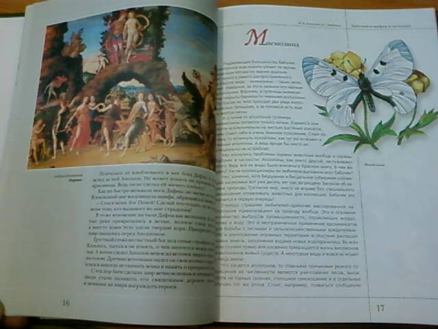 Иллюстрация 38 из 50 для Бабочки в мифах и легендах - Алексеев, Бабенко | Лабиринт - книги. Источник: lettrice