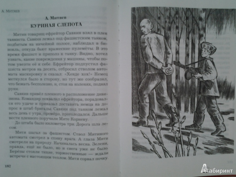 Иллюстрация 25 из 28 для Рассказы о юных героях - Токмакова, Зощенко, Пантелеев, Синявский | Лабиринт - книги. Источник: Сидорова  Диана