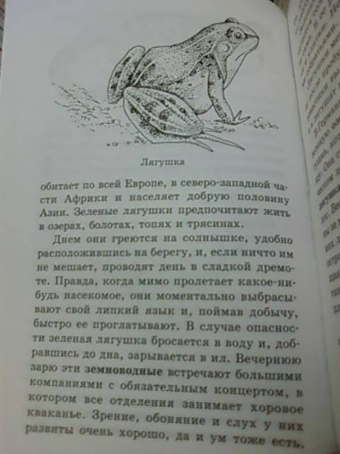 Иллюстрация 5 из 6 для Рассказы о животных для детей - Петр Ляхов | Лабиринт - книги. Источник: lettrice
