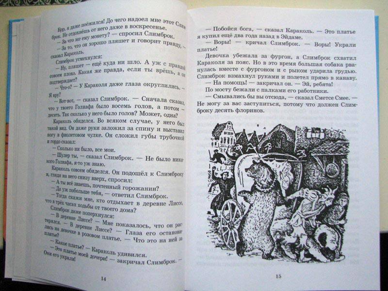 Иллюстрация 6 из 25 для Кеес Адмирал Тюльпанов - Константин Сергиенко | Лабиринт - книги. Источник: jiv