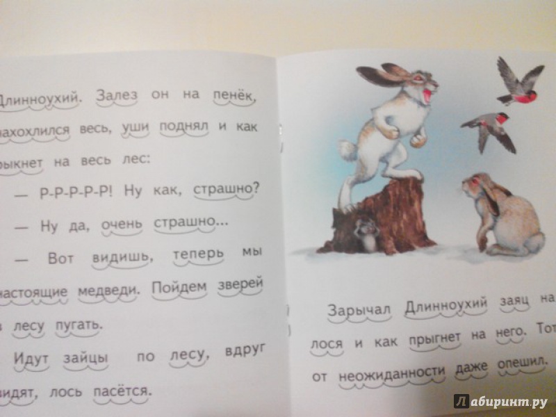 Иллюстрация 9 из 11 для Как зайцы хотели медведями стать - Елена Ермолова | Лабиринт - книги. Источник: Irbis