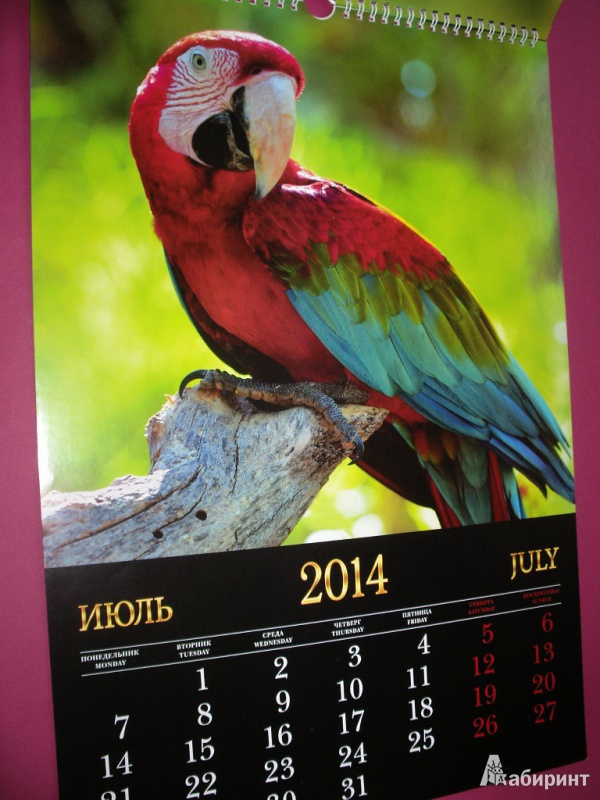Иллюстрация 7 из 12 для Календарь 2014 "Дикая природа. Птицы" (КПВ1405) | Лабиринт - сувениры. Источник: Tiger.