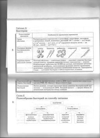 Иллюстрация 5 из 8 для Биология в схемах и таблицах: 11 класс - Юрий Щербатых | Лабиринт - книги. Источник: mamy