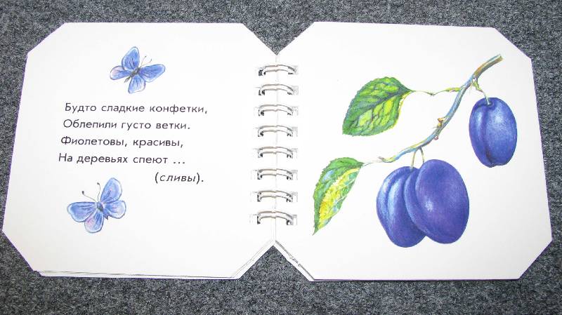 Иллюстрация 5 из 19 для Что в саду растёт - А. Геращенко | Лабиринт - книги. Источник: Апельсинка