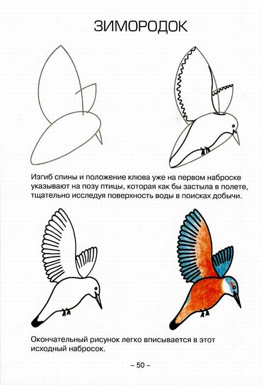 Иллюстрация 10 из 14 для Учимся рисовать природу - Пьер Порте | Лабиринт - книги. Источник: Panterra
