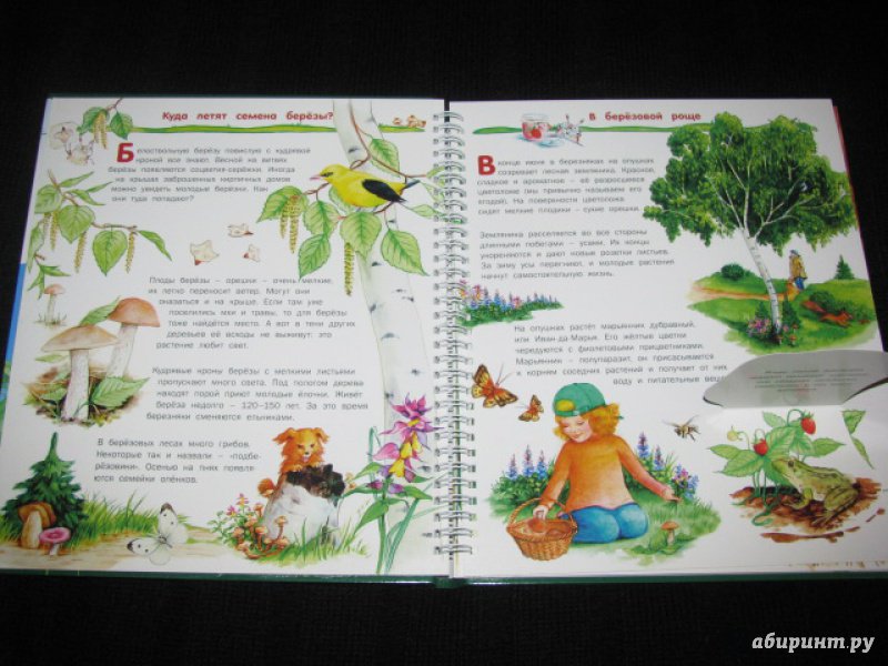 Иллюстрация 22 из 41 для Растения - Татьяна Елумеева | Лабиринт - книги. Источник: Nemertona