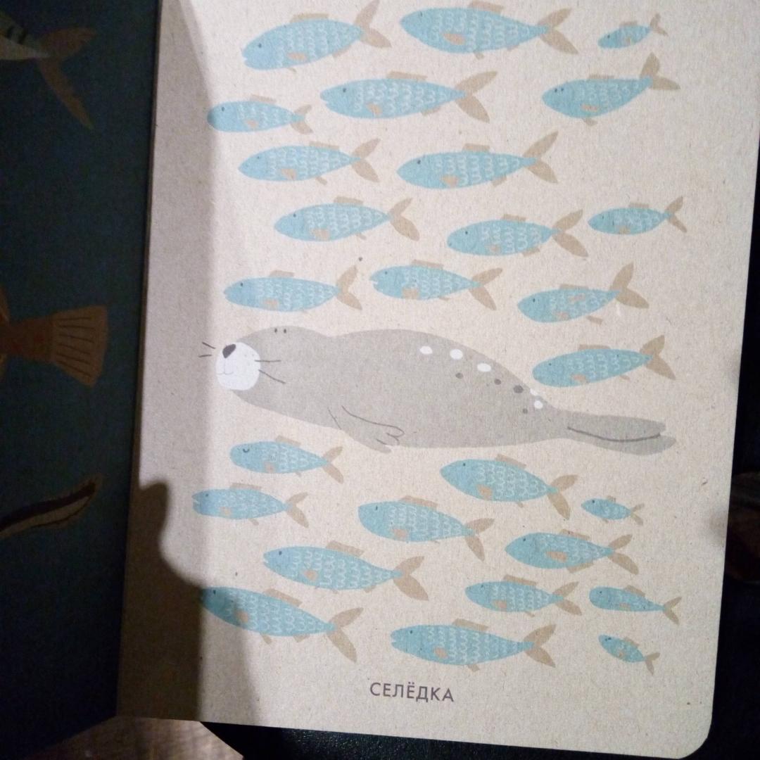 Иллюстрация 39 из 45 для Моё маленькое море - Катрин Виле | Лабиринт - книги. Источник: bookchik