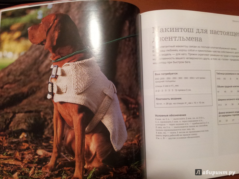 Иллюстрация 4 из 17 для Пальто, кардиганы свитера. Стильная одежда для собак - Анна Тильман | Лабиринт - книги. Источник: Л  Мария