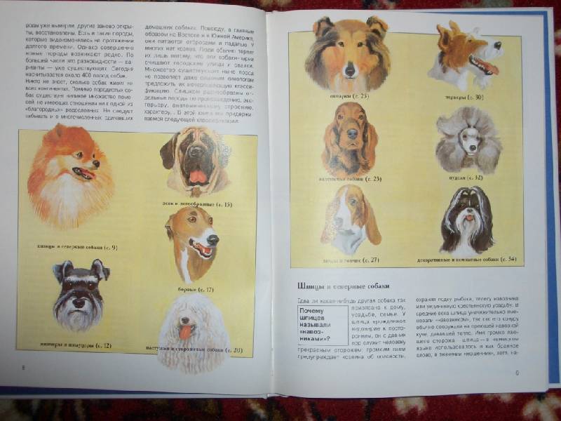 Иллюстрация 1 из 19 для Собаки - Петер Тайхманн | Лабиринт - книги. Источник: sher