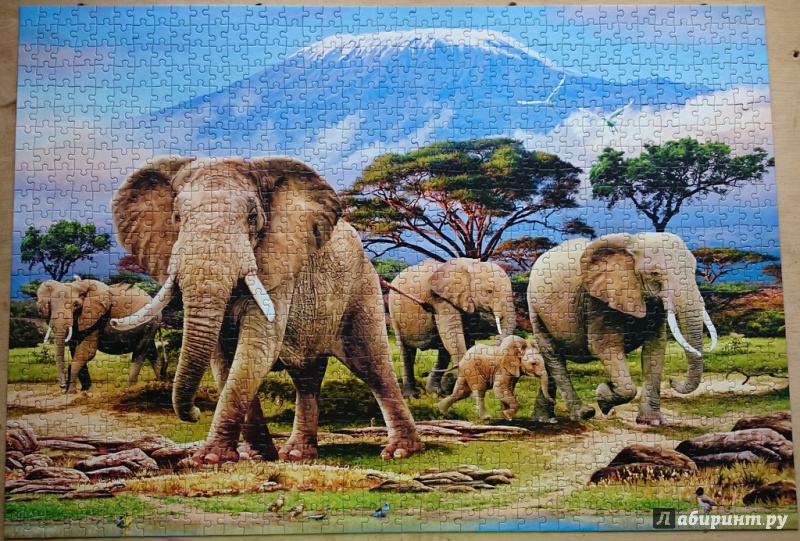 Иллюстрация 3 из 3 для Puzzle-1000 "Слоны" (C-103188) | Лабиринт - игрушки. Источник: Чудинова  Наталья Дмитриевна