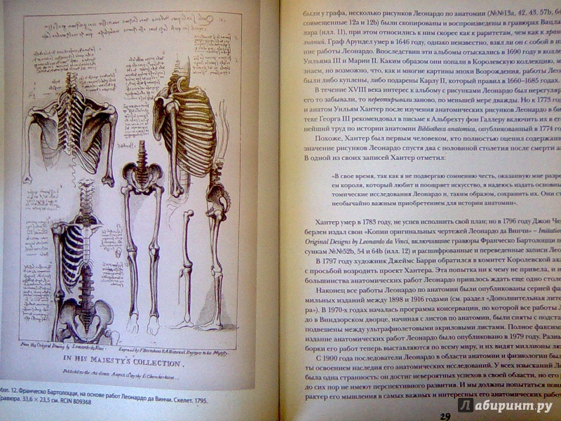 Иллюстрация 11 из 42 для Анатомия Леонардо - Мартин Клейтон | Лабиринт - книги. Источник: Салус