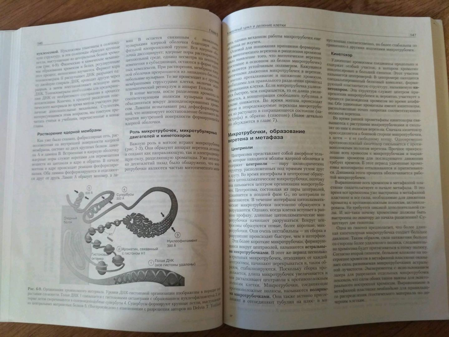 Иллюстрация 20 из 35 для Молекулярная биология клетки. Руководство для врачей - Фаллер, Шилдс | Лабиринт - книги. Источник: Sunnygirl
