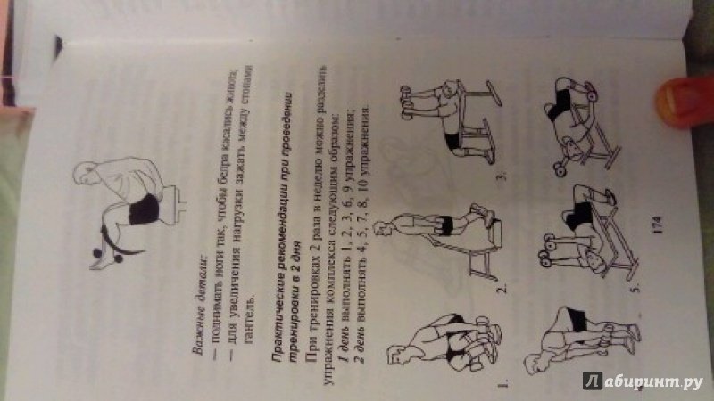 Иллюстрация 8 из 8 для Общая физическая подготовка. Знать и уметь. ФГОС - Юлия Гришина | Лабиринт - книги. Источник: Лабиринт