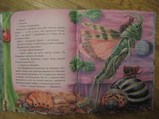 Иллюстрация 15 из 27 для Сказки о животных - Виталий Бианки | Лабиринт - книги. Источник: libe