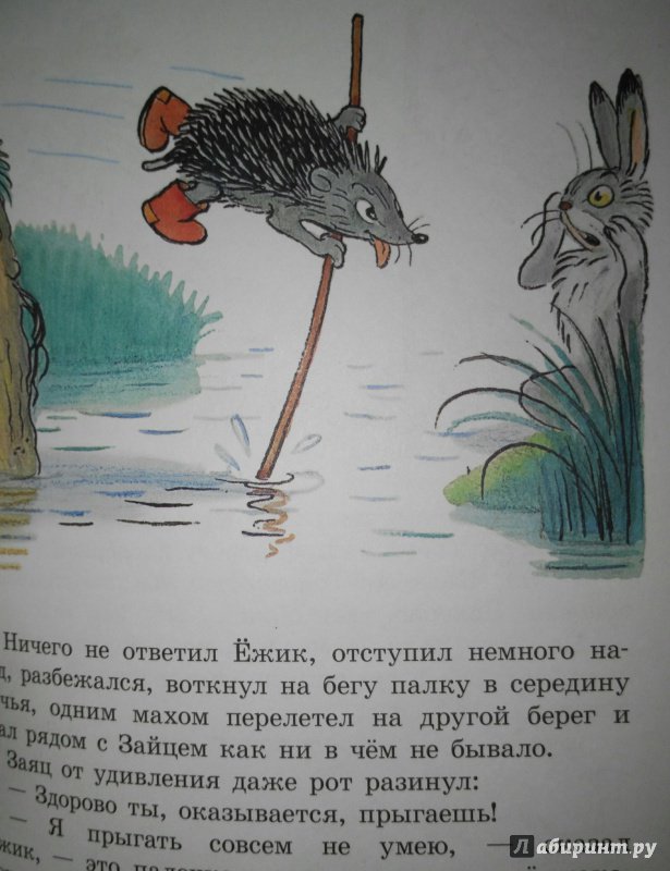 Иллюстрация 26 из 51 для Сказки и картинки - Владимир Сутеев | Лабиринт - книги. Источник: Katerina