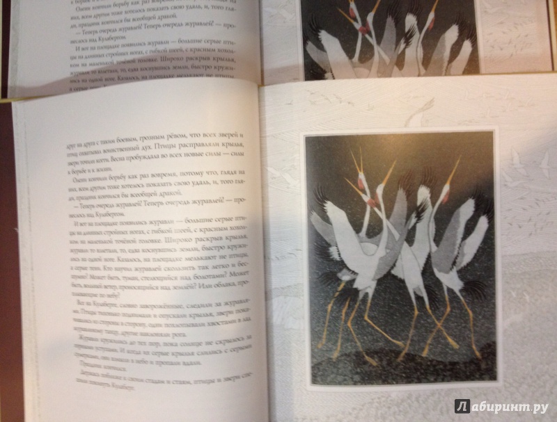 Иллюстрация 4 из 12 для Чудесное путешествие Нильса с дикими гусями - Сельма Лагерлеф | Лабиринт - книги. Источник: ELOIZA