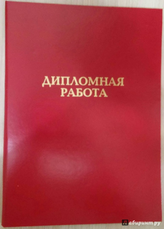 дипломная работа фотография предметная эта гармоничная