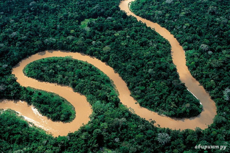 Иллюстрация 1 из 6 для Амазония. Инструкция по выживанию (DVD) - Тьерри Рагоберт | Лабиринт - . Источник: Елизовета Савинова