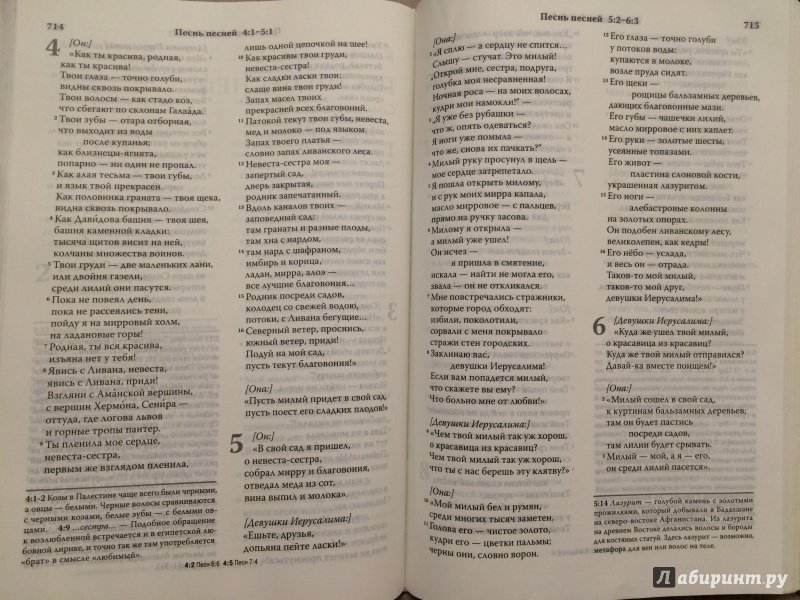 Иллюстрация 2 из 3 для Библия, современный русский перевод | Лабиринт - книги. Источник: Ksenia  Vidiakinа