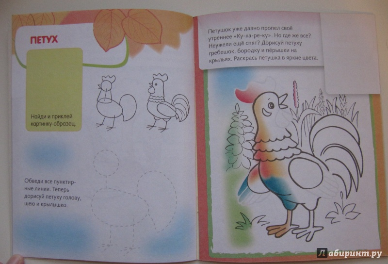 Иллюстрация 11 из 29 для Домашние животные. Дорисуй и раскрась | Лабиринт - книги. Источник: Чернова  Анастасия Юрьевна