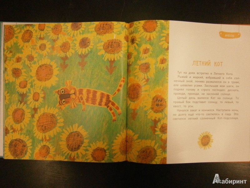 Иллюстрация 7 из 31 для Круглый год (+DVD) - Юрий Коваль | Лабиринт - книги. Источник: Maxima