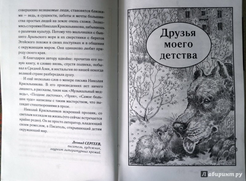 Иллюстрация 26 из 36 для Охотничья избушка - Николай Красильников | Лабиринт - книги. Источник: Elena_Nsk